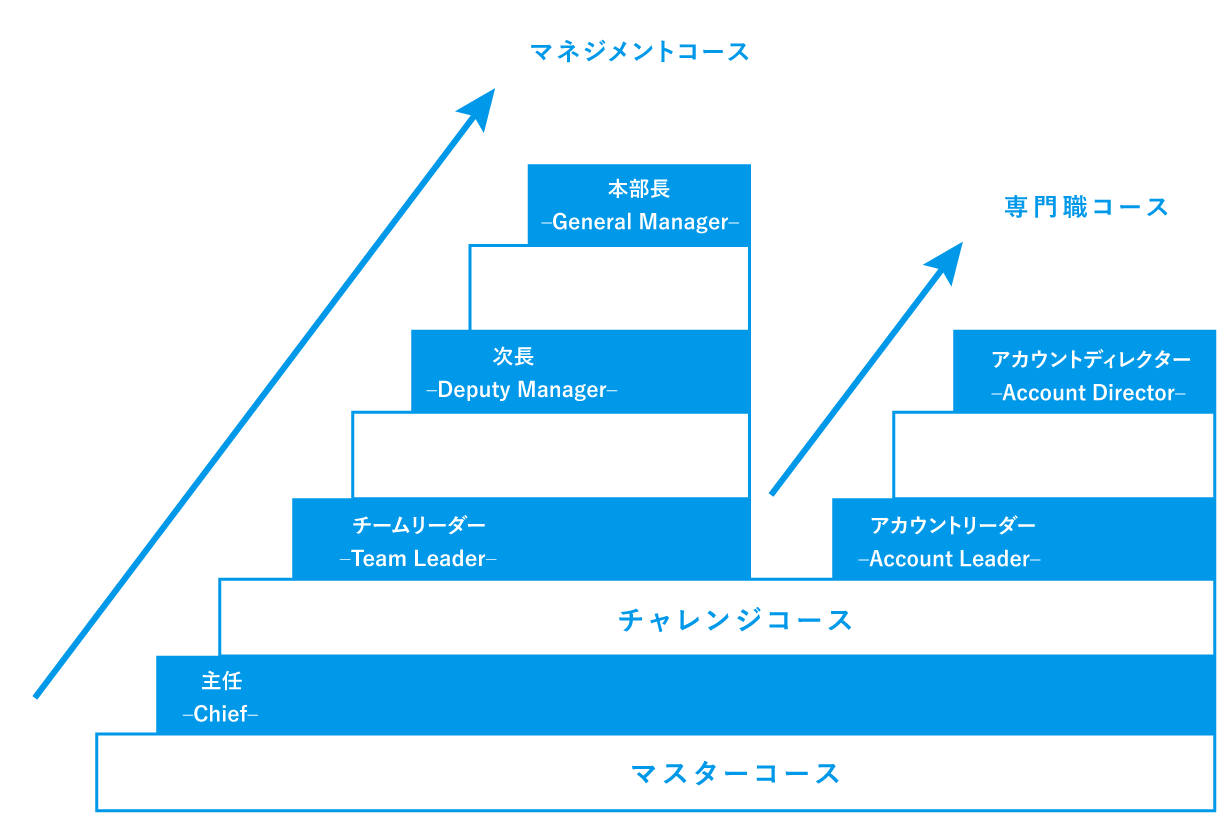 キャリアステップイメージ