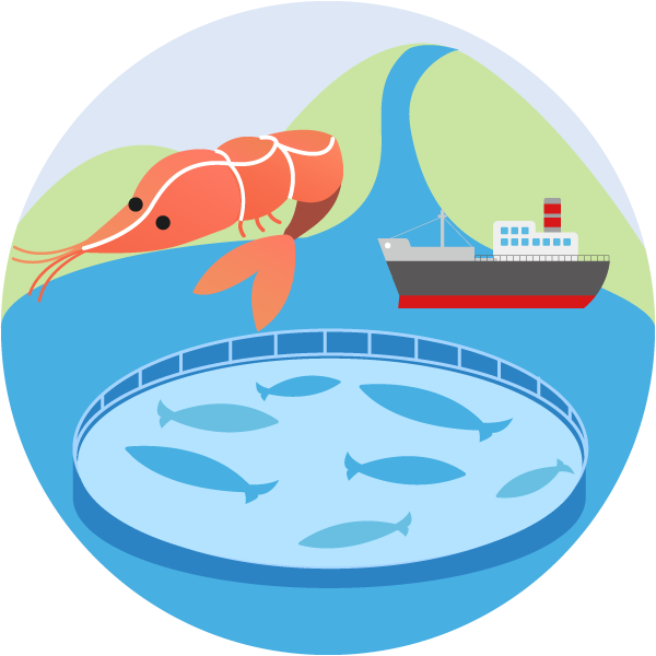 水産分野
